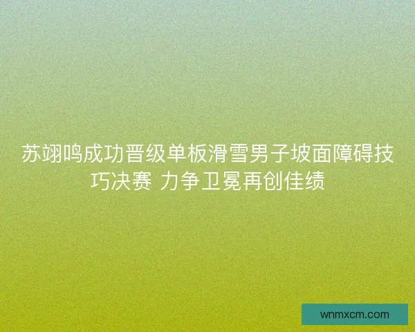 苏翊鸣成功晋级单板滑雪男子坡面障碍技巧决赛 力争卫冕再创佳绩 苏翊鸣成功晋级单板滑雪男子坡面障碍技巧决赛 力争卫冕再创佳绩