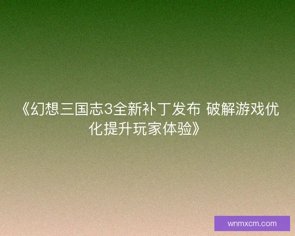《幻想三国志3全新补丁发布 破解游戏优化提升玩家体验》