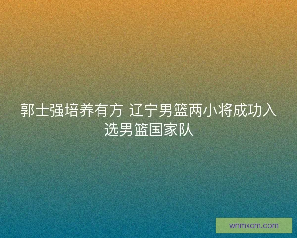 郭士强培养有方 辽宁男篮两小将成功入选男篮国家队